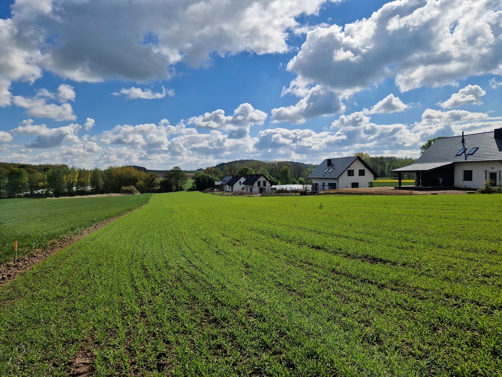 Działka – Jaczów, Smardzowska