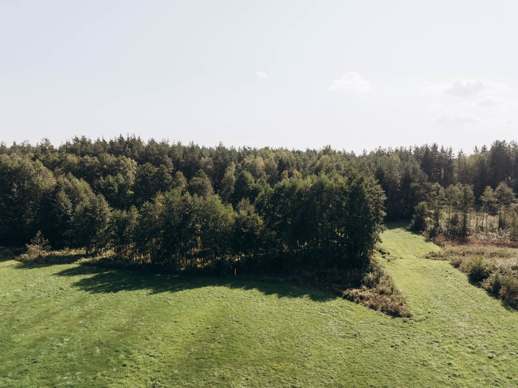 Działka – Modzele-Skudosze