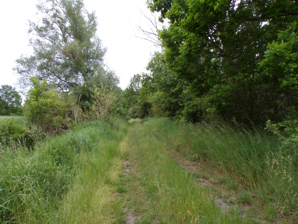 Działka – Objazda, ul. Brzozowa