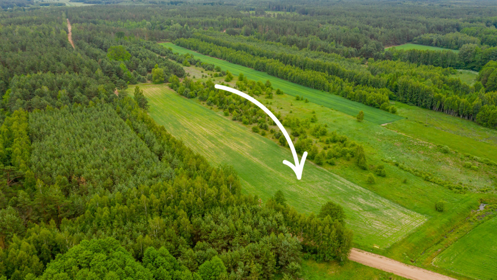 Działka – Koźliki