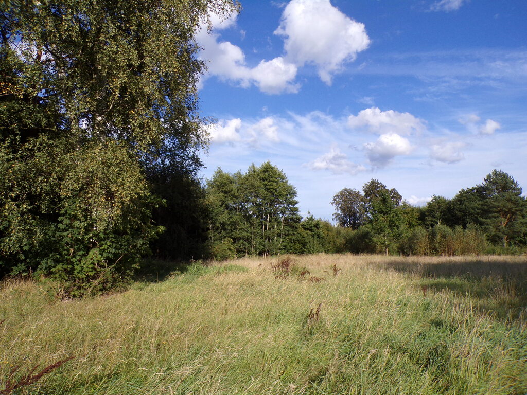 Działka – Charnowo