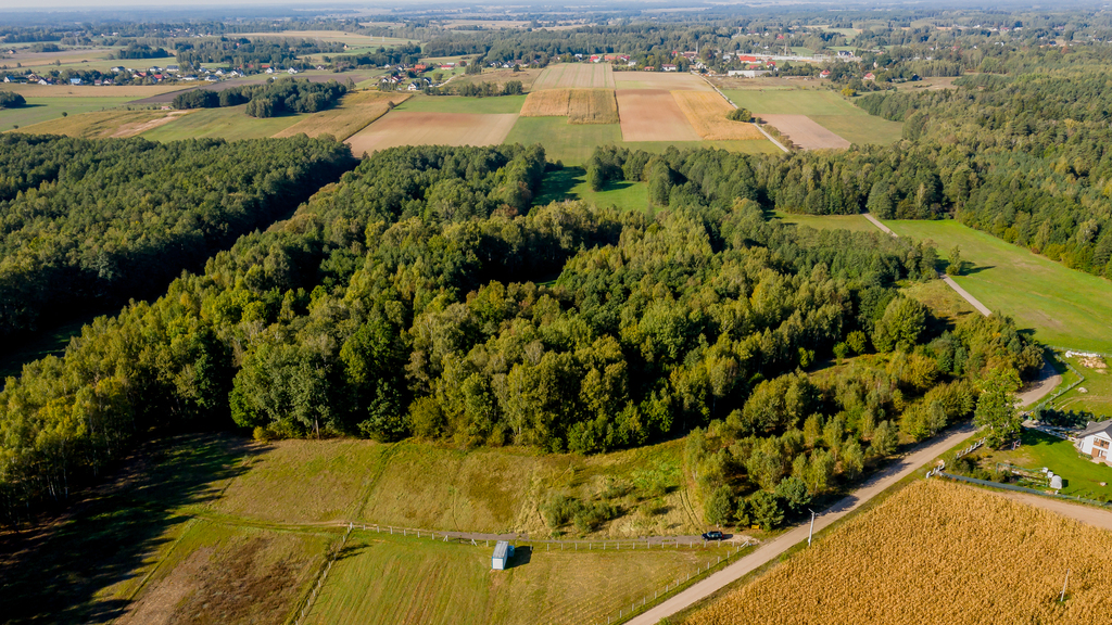 Działka – Niewodnica Kościelna