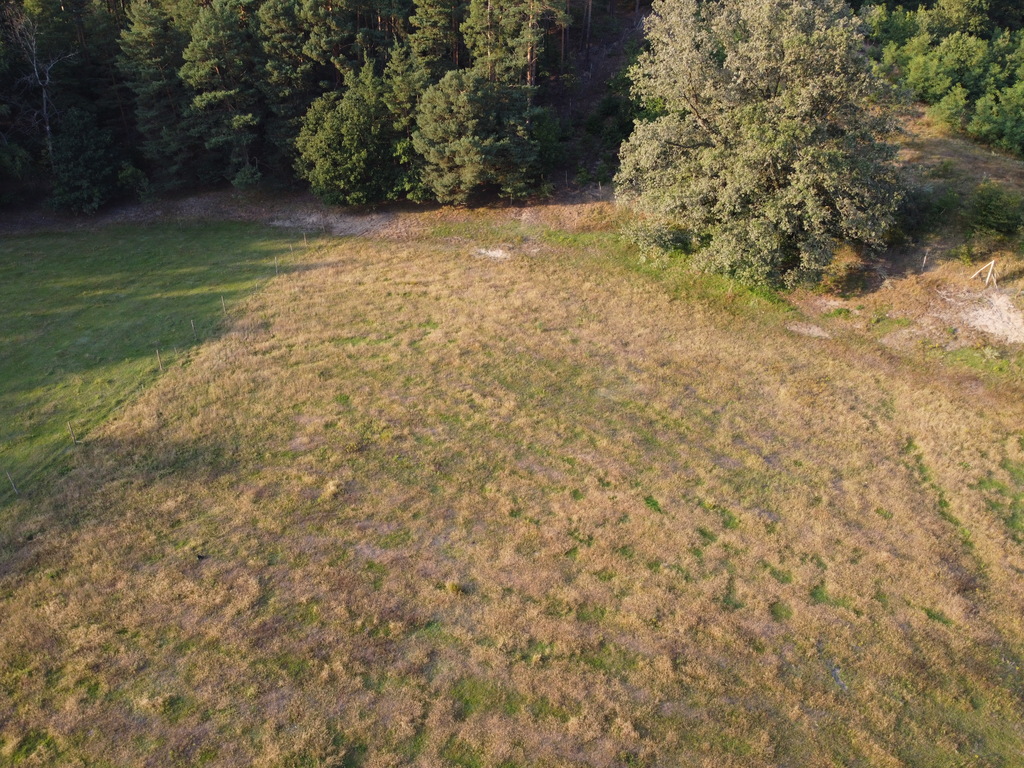 Działka – Ławszowa