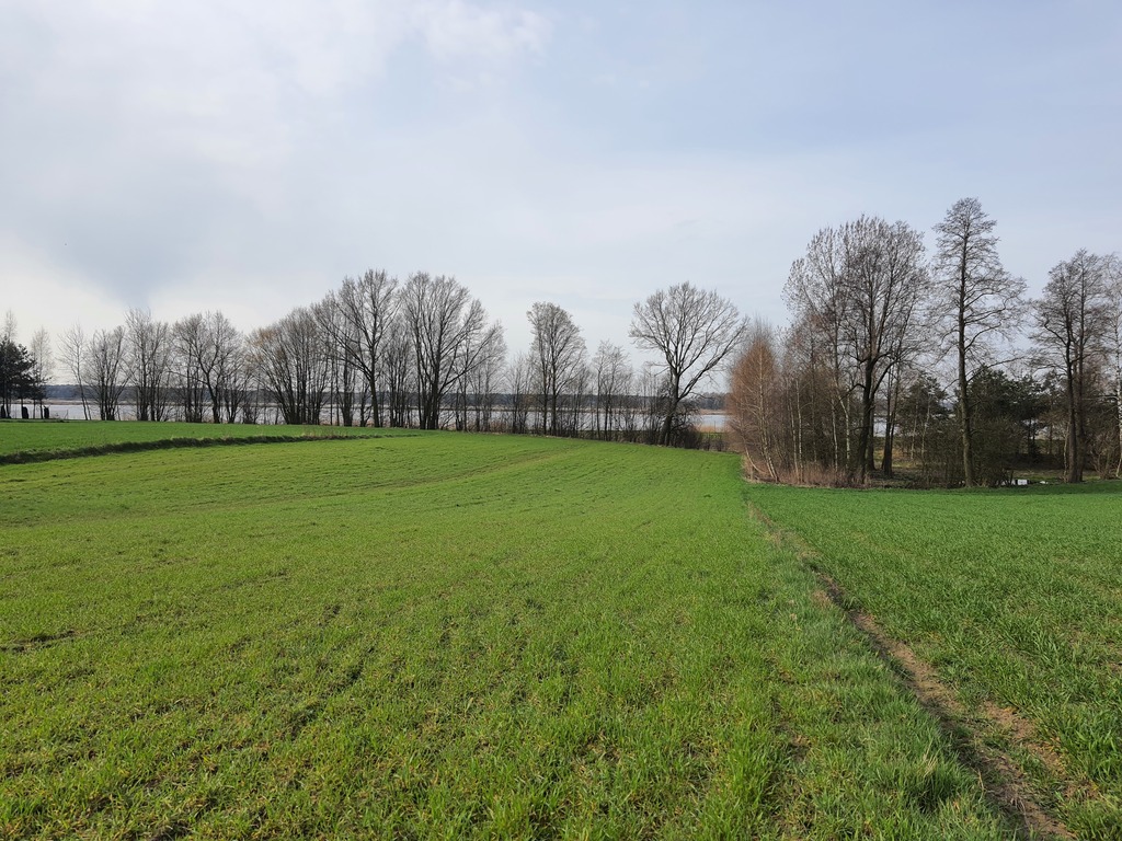 Działka – Komarne