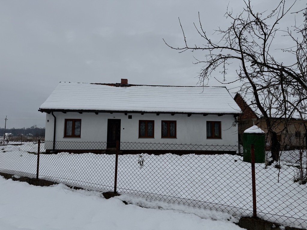 Dom – Buczków, buczków