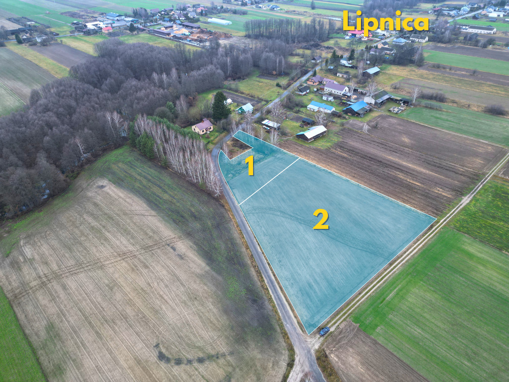 Działka – Lipnica