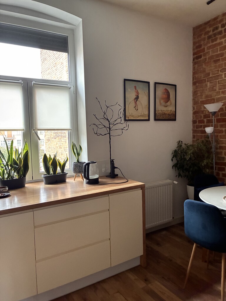 Mieszkanie – Włocławek, ul. Zielony Rynek