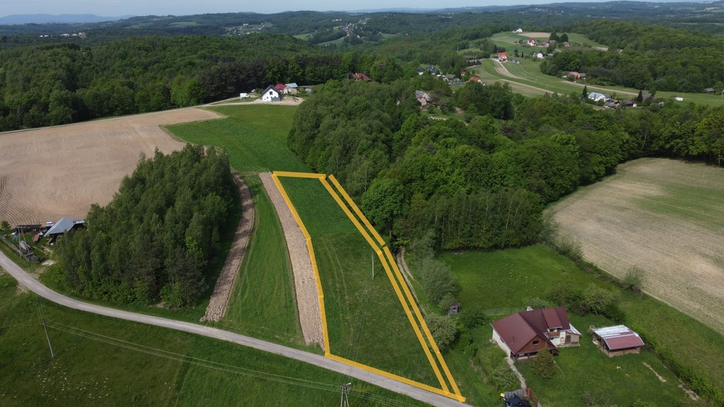 Działka – Borówna