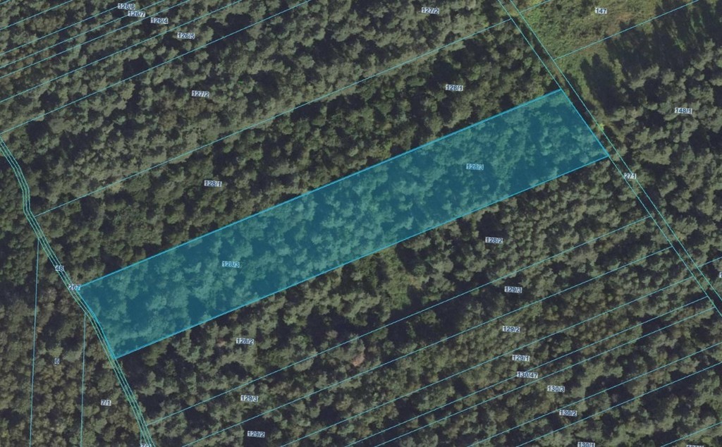 Działka leśna, 10,7 ha, Kowalewszczyzna, Sokoły