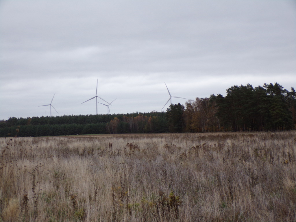 Działka budowlana,  Głobino, ul. Główna