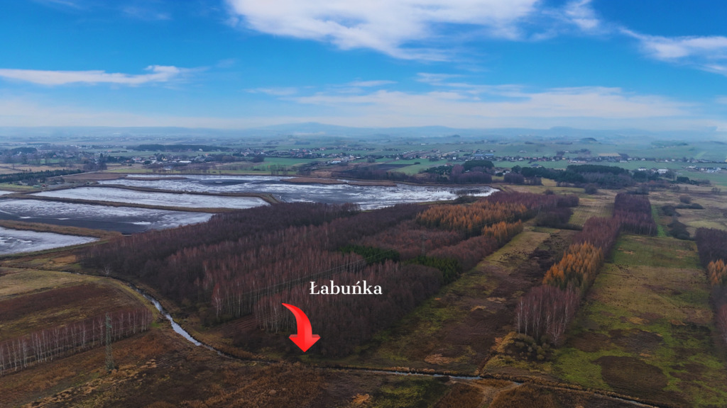 Piękna duża łąka z potencjałem w Pniówku!!