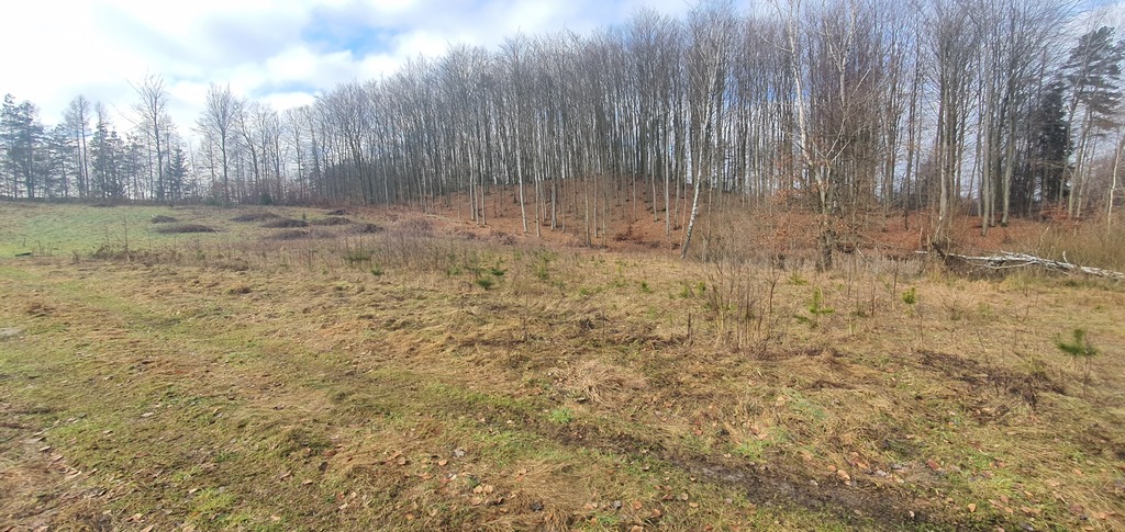 Działka budowlana w pięknej okolicy