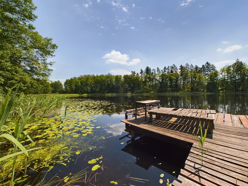 Dom z bala na działce (1,2 HA) z linią brzegową