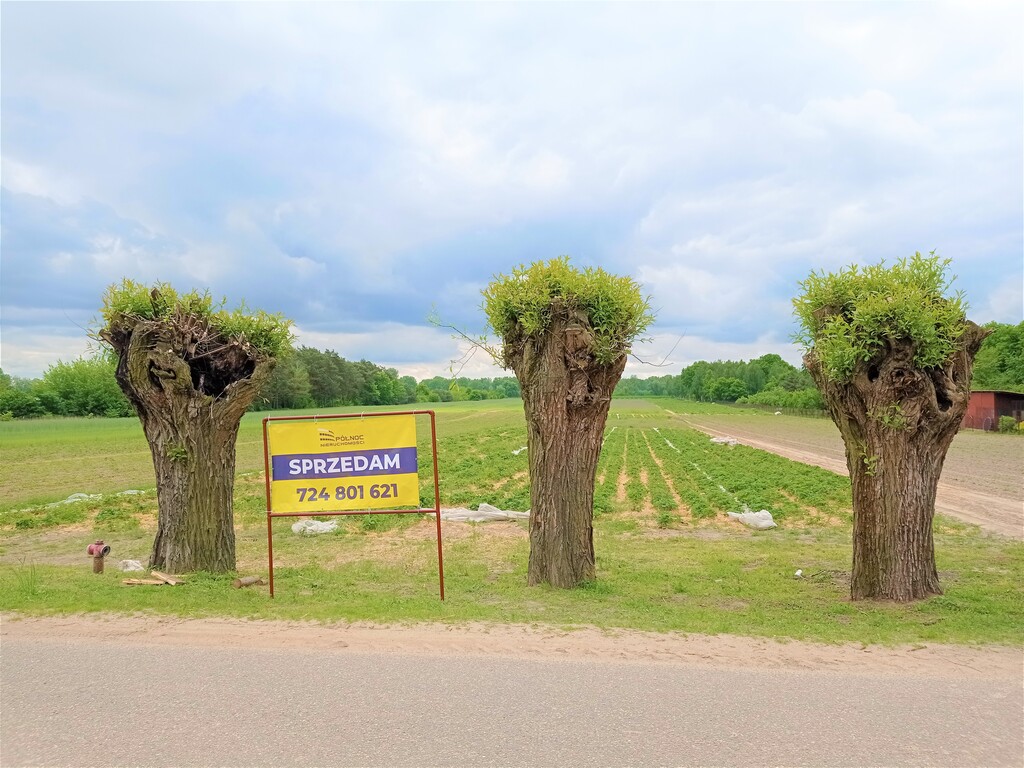 Działka nad Wisłą - 7300 m2