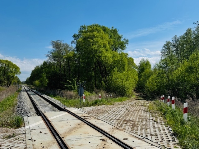 Działka rolno-leśna na Warmii, Bobrowiec, Braniewo