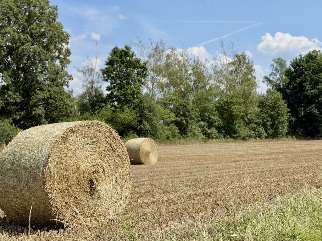 Działa w spokojnej okolicy Ligota Łabędzka !