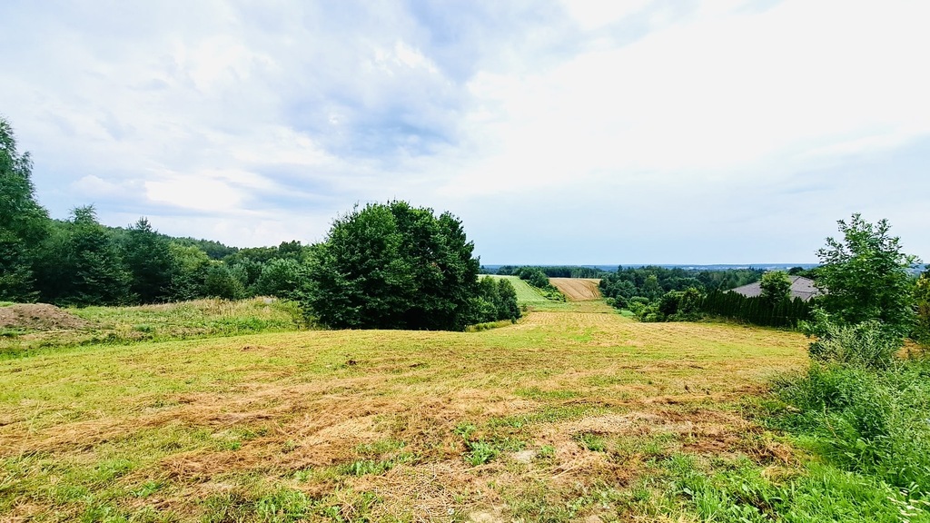 Sabaudia - działka w zielonej okolicy