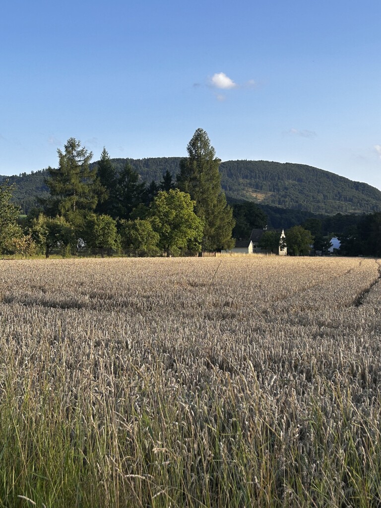 Działka rolna -  Goleszów