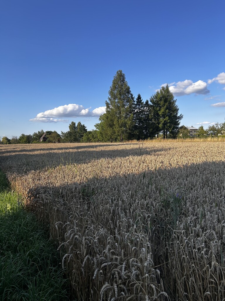 Działka budowlana w Goleszowie, blisko Ustronia