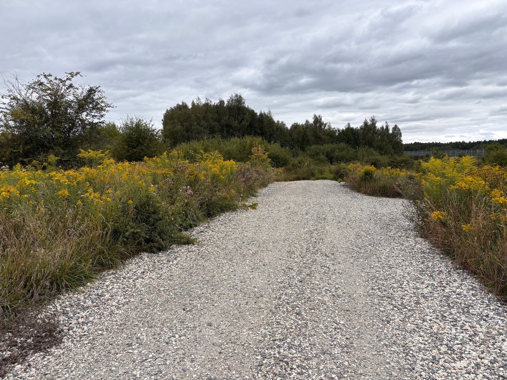 Cikowice działka przemysłowa 27arów