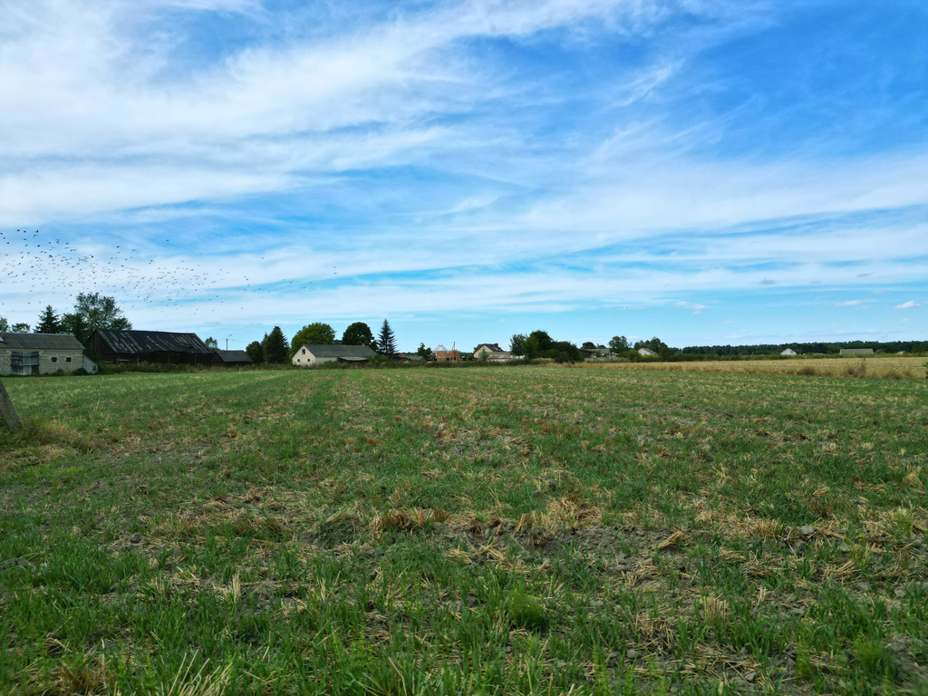 Działka gotowa pod zabudowę Turów k. Kąkolewnicy
