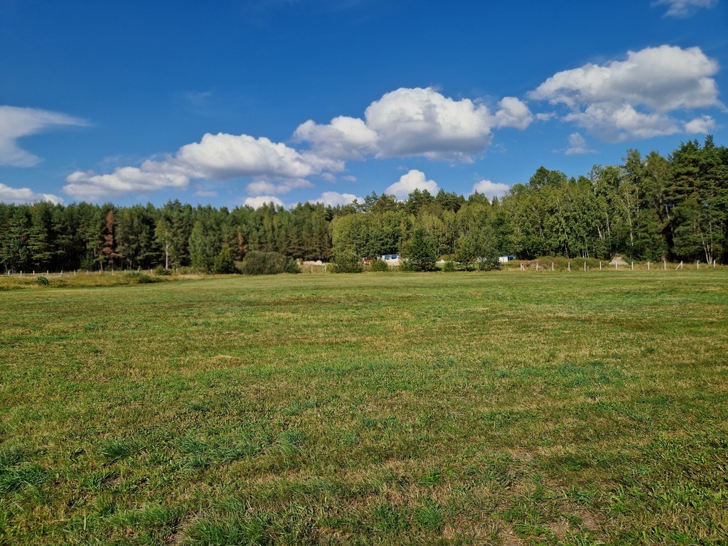 Rolna działka 0,8 ha Krynickie gm. Zabłudów