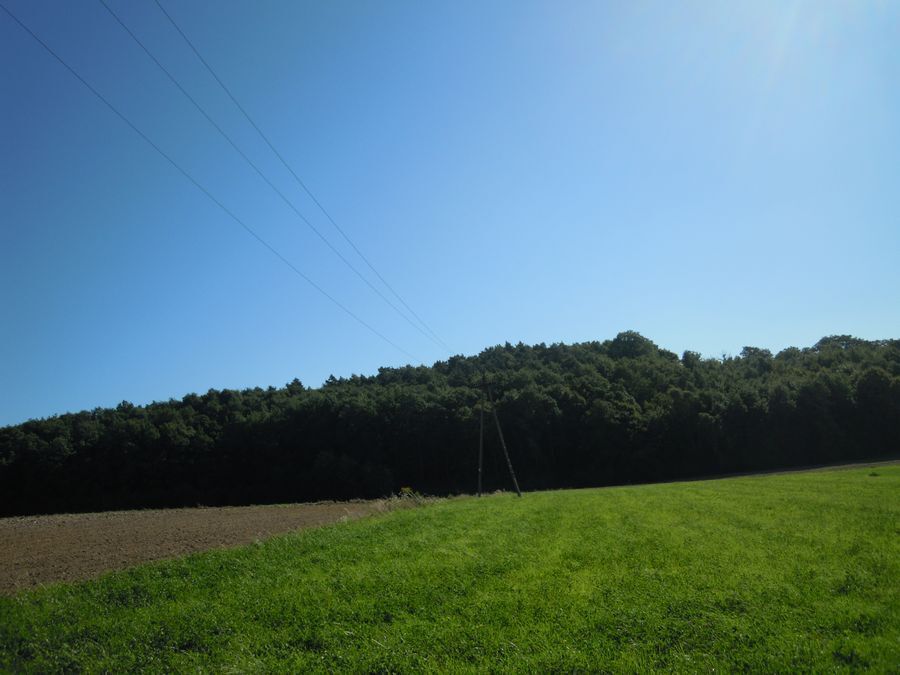 Zalesie /gm.Iwanowice/ działka 0,6 ha