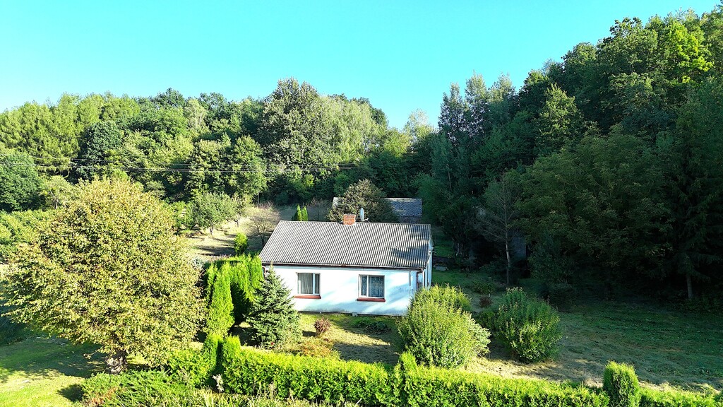 Siedlisko przy lesie w Skomorochach Dużych