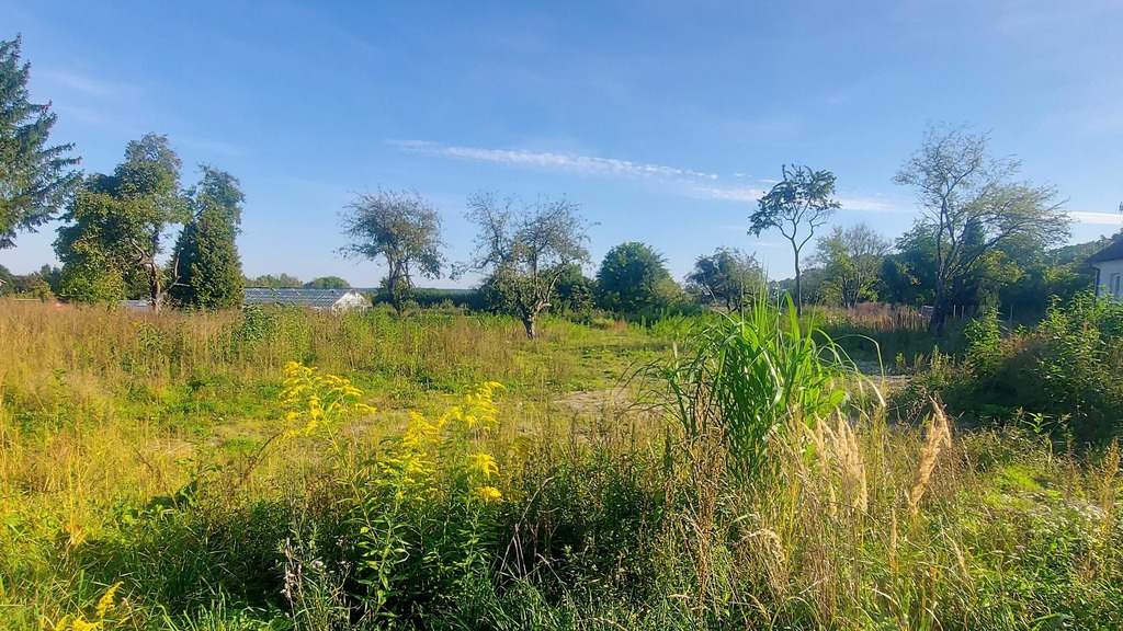 Działka z warunkami zabudowy - Bartoszyce