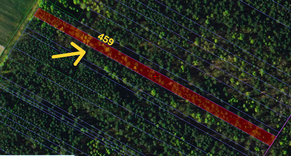 6 działek leśnych – Gertrudów, gm. Gomunice