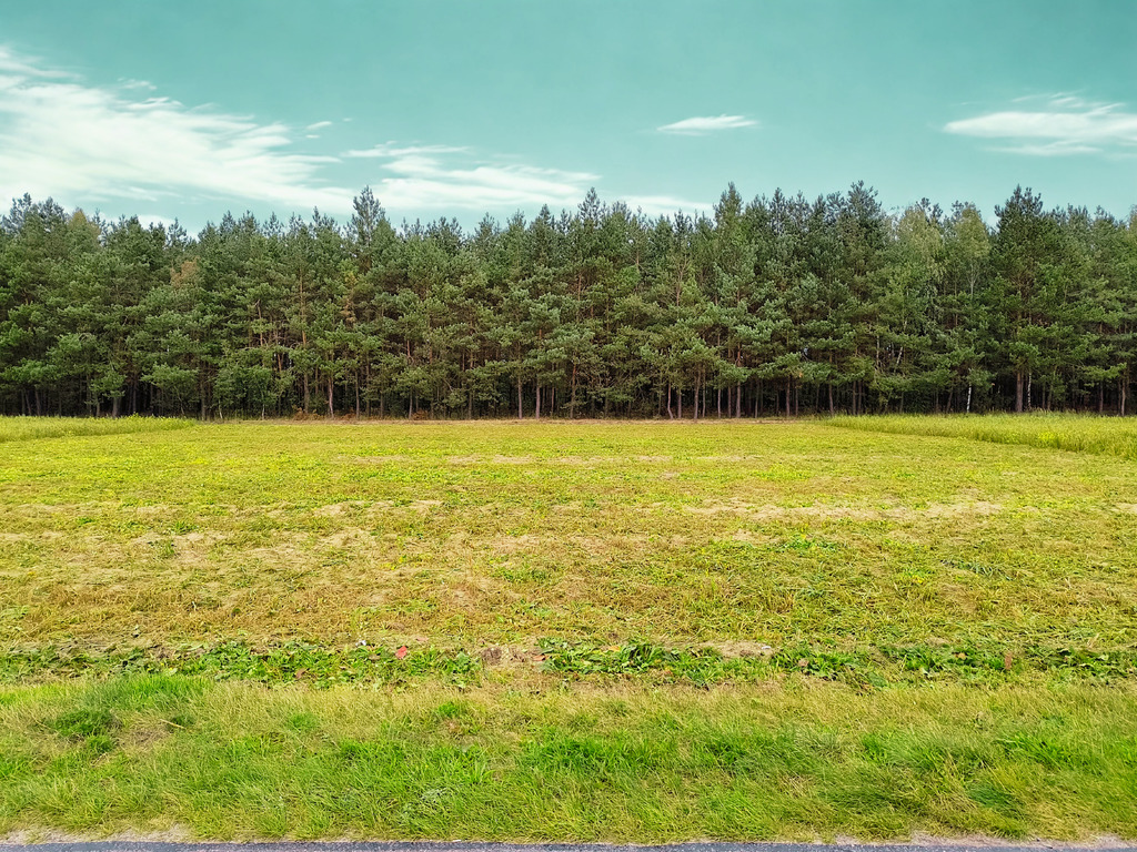Działka budowlana w otoczeniu lasu