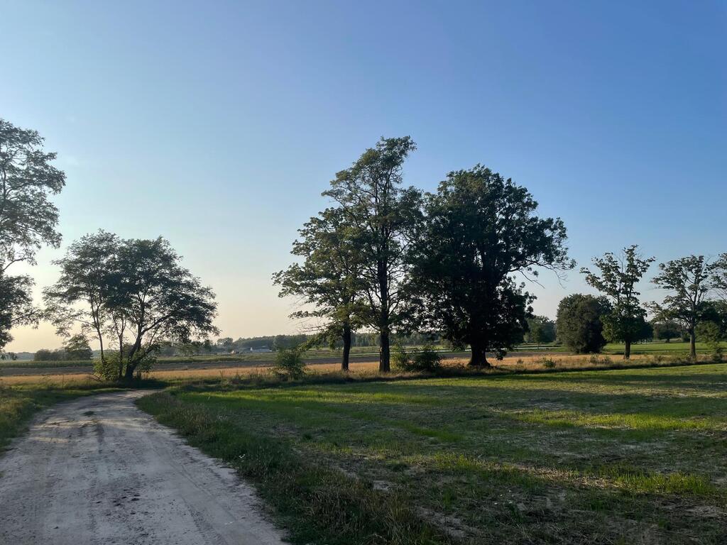 Dłużew nad Świdrem działka z możliwością podziału