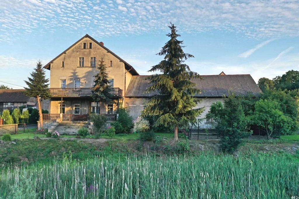 Gospodarstwo 11 ha ze stawem - Grodziec