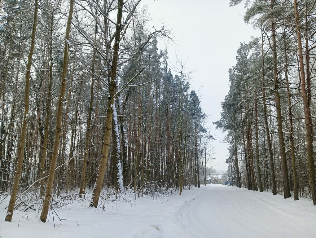 Atrakcyjna działka budowlana gm. Łapy!
