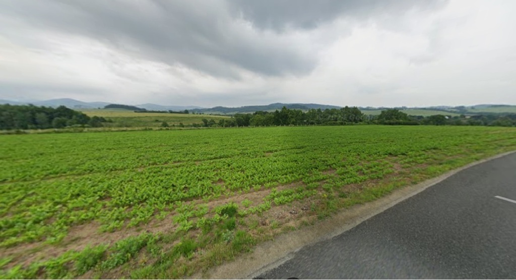 Działka rolno/budowlana na sprzedaż Jaszkowa Dolna