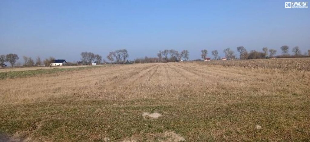 Działka budowlana 15 ar, Kozłówka