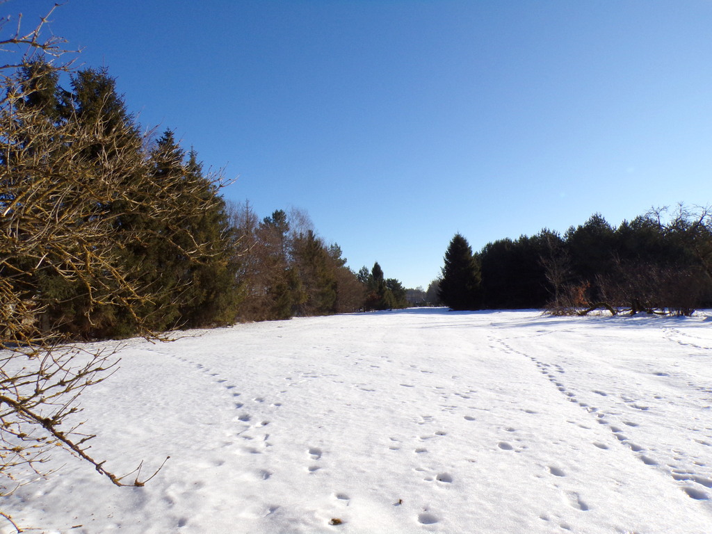 Działka budowlana Machowino, gm.Ustka