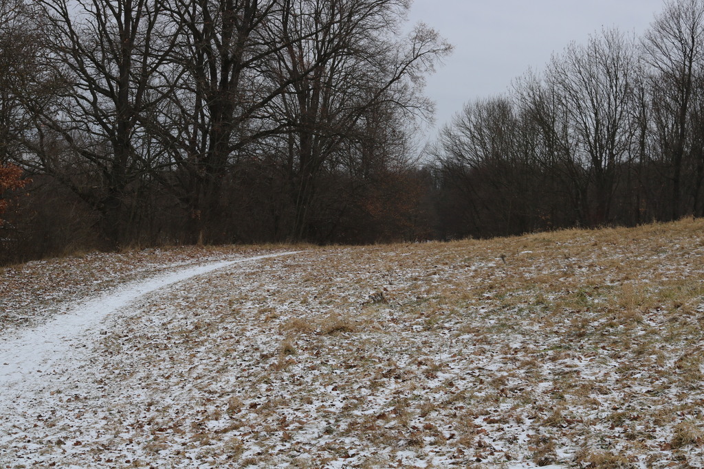 Działki Budowlane w spokojnej okolicy Osina Mała