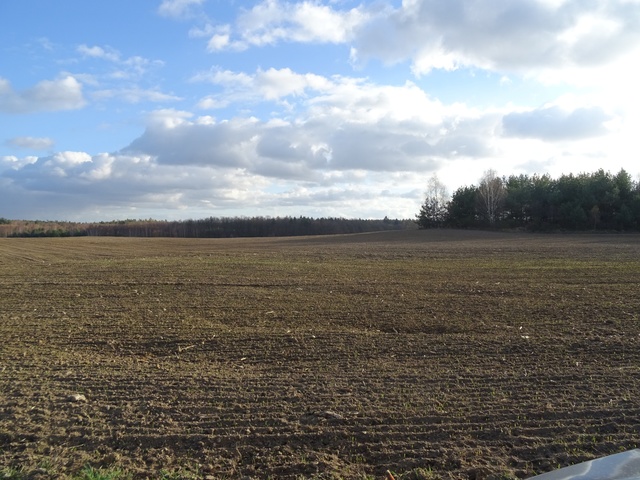 Działki na sprzedaż !!! Blisko Głogowa !!!