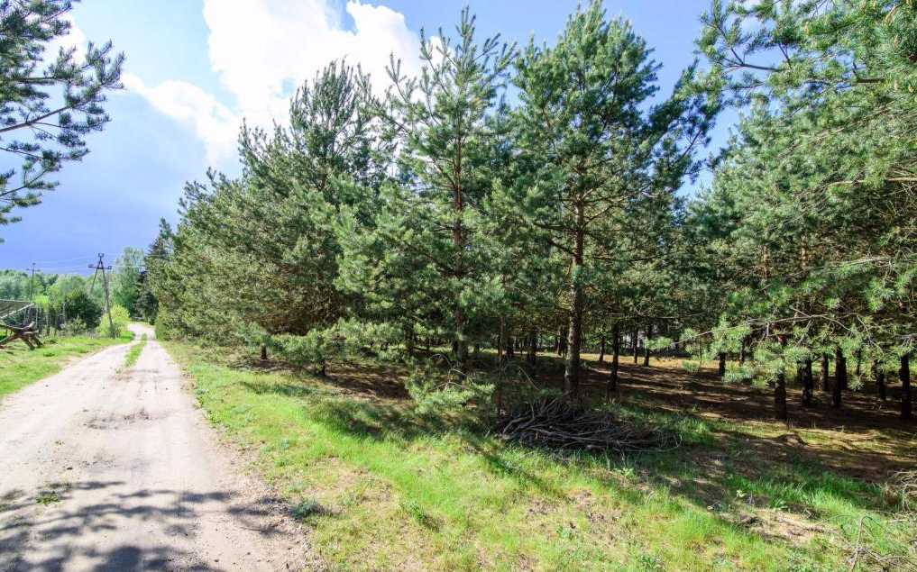 Działka, 11275 m2, Łapka, warmińsko-mazurskie