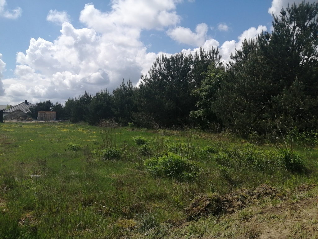 Działka w Rakowiskach