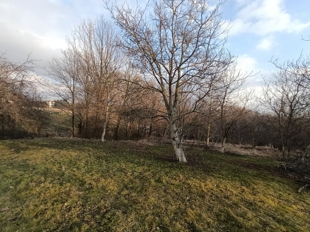 Duża działka Rydułtowy tanio