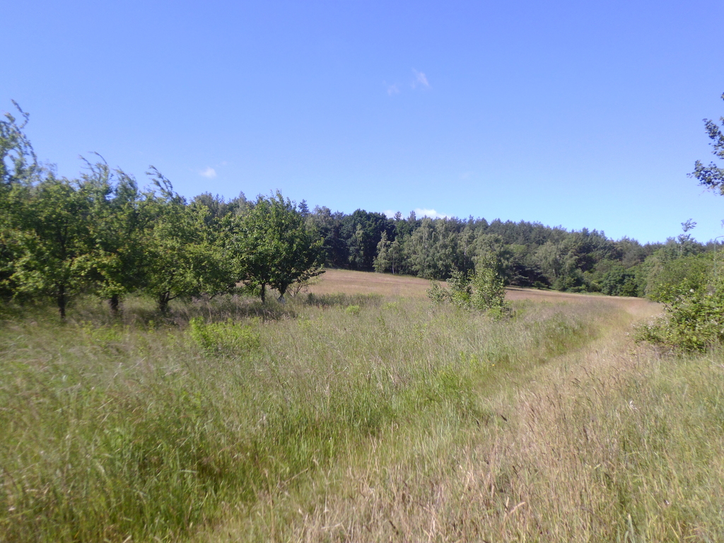 Działka – Okmiany