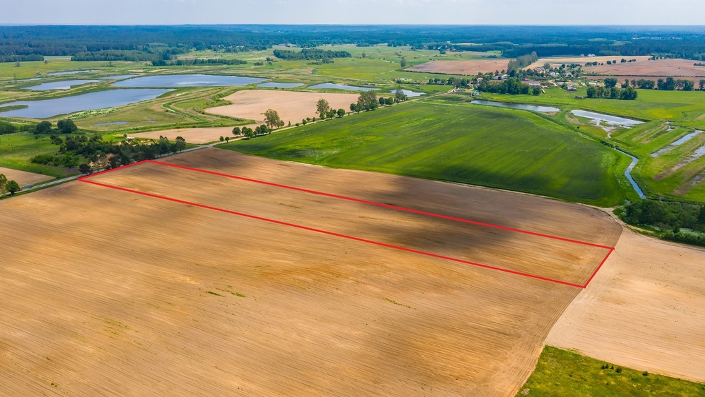 Działka rolna 2.6 h. Waliły.