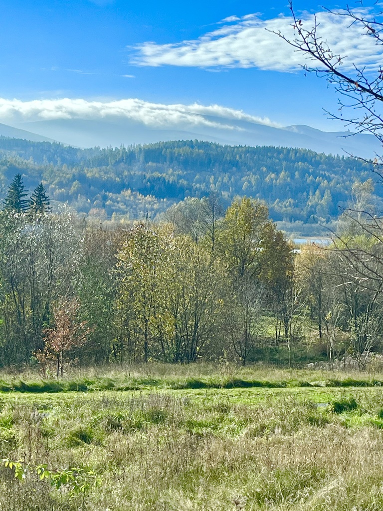 Widokowa działka z pozwoleniem na budowę Sosnówka