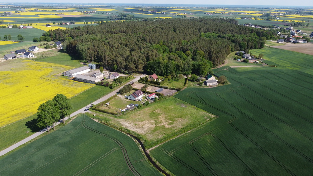 Tylko u nas! Działka Wielgłowy/ Asfalt / Las