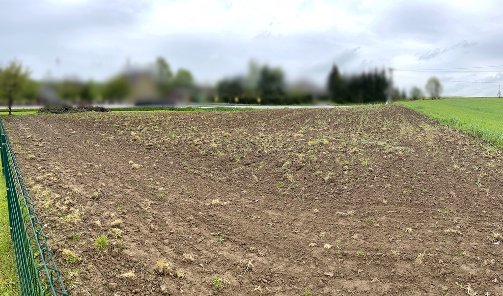 Działka budowlana przy trasie Kraków-Wolbrom!