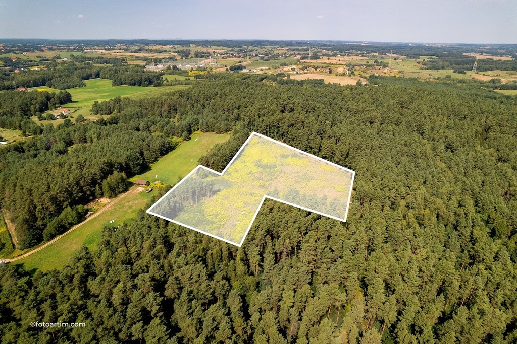 Wyjątkowa działka pod Olsztynem w otulinie lasu