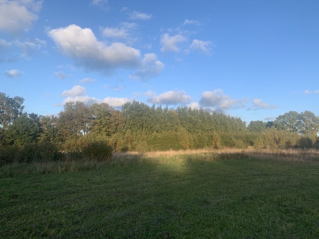 Działka przy Jeziorze Choczewskim