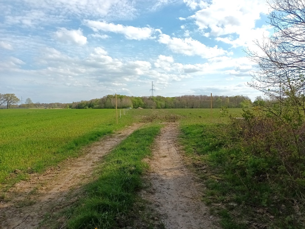 Działka siedliskowa Wodnica blisko Ustki